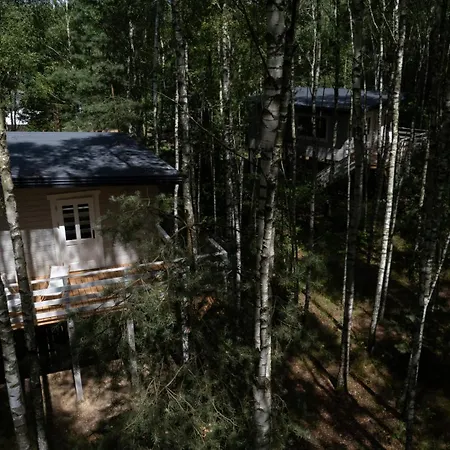 W Drzewach W Siedlisku Polanka Chalet *