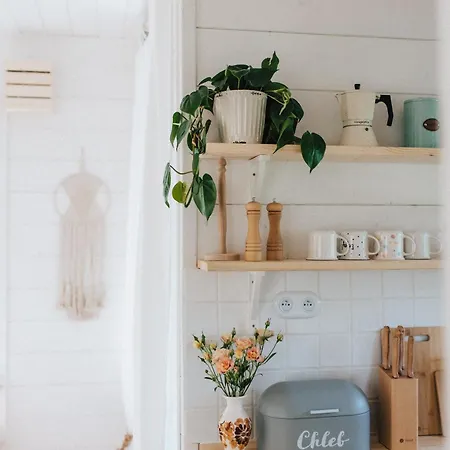 W Drzewach W Siedlisku Polanka *