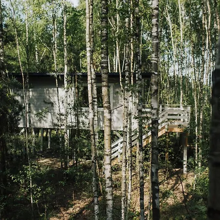 W Drzewach W Siedlisku Polanka *