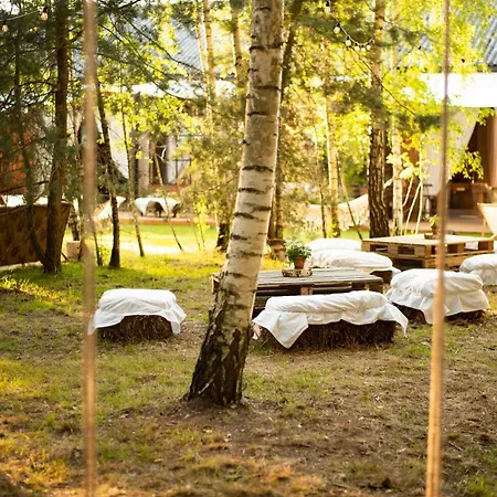 W Drzewach W Siedlisku Polanka