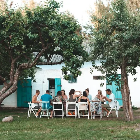 W Drzewach W Siedlisku Polanka *