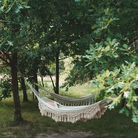 W Drzewach W Siedlisku Polanka Dobre (Minsk)