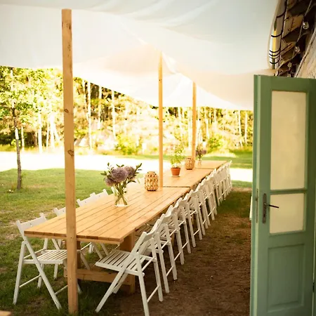 W Drzewach W Siedlisku Polanka