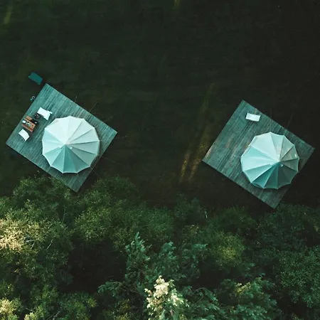 W Drzewach W Siedlisku Polanka Dobre (Minsk)