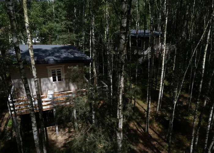 W Drzewach W Siedlisku Polanka Chalet *