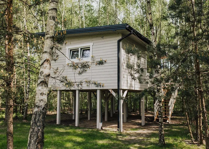 W Drzewach W Siedlisku Polanka Chalet Dobre (Minsk)
