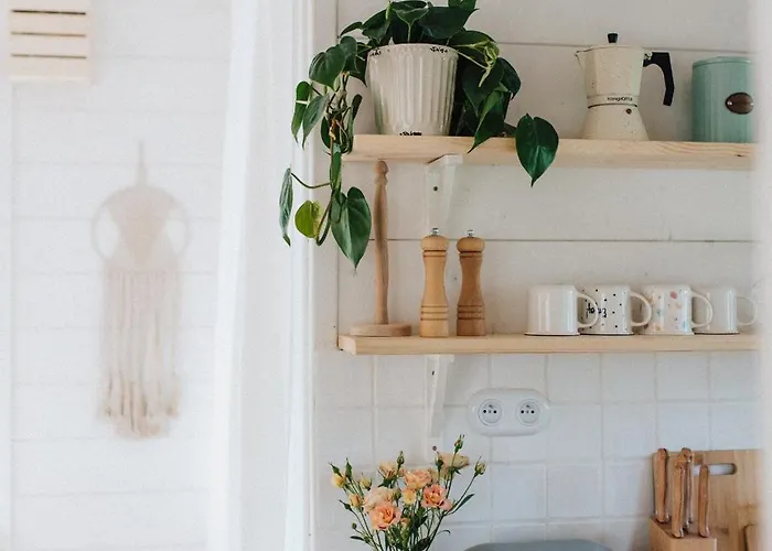 W Drzewach W Siedlisku Polanka *