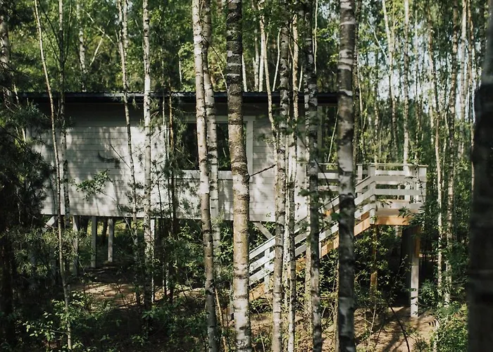 W Drzewach W Siedlisku Polanka *