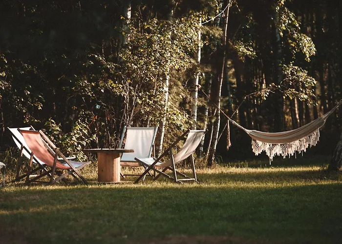W Drzewach W Siedlisku Polanka Chalé Dobre (Minsk)