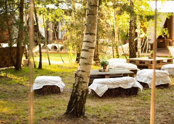 W Drzewach W Siedlisku Polanka