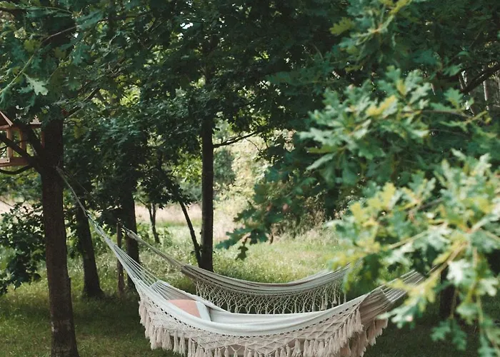 W Drzewach W Siedlisku Polanka Dobre (Minsk)