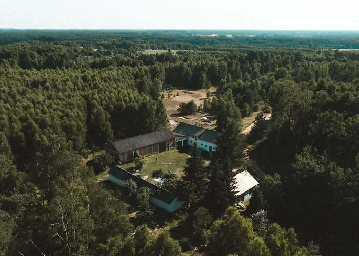 W Drzewach W Siedlisku Polanka * Dobre (Minsk)