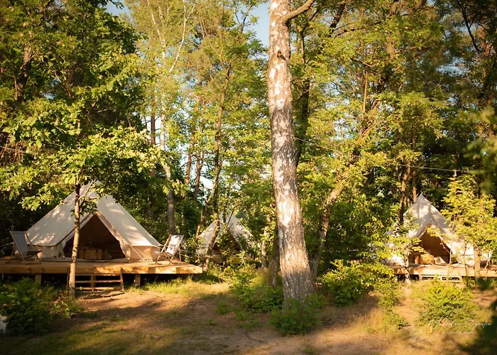 Chalé W Drzewach W Siedlisku Polanka Dobre (Minsk)