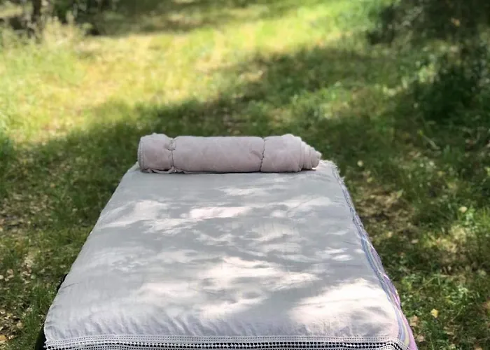 W Drzewach W Siedlisku Polanka Dobre (Minsk)